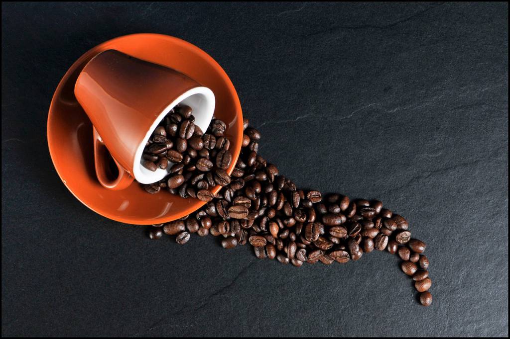 Chuvas atrapalham a colheita de café 