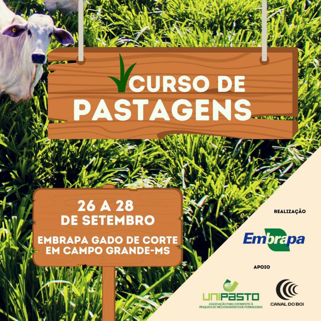 Com apoio do Canal do Boi, curso de pastagens começa nesta terça 