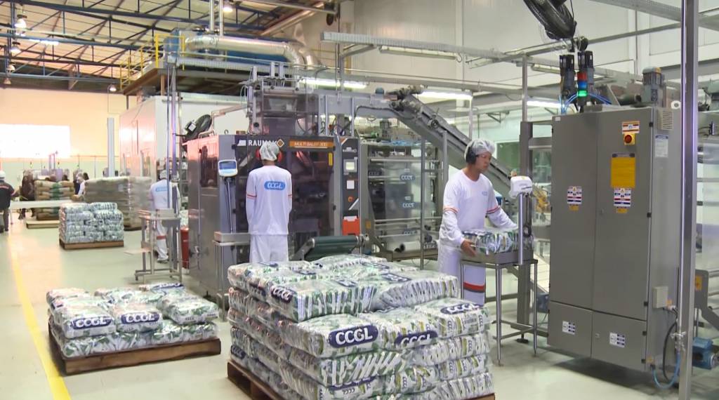 USDA: Produção mundial de leite em pó deve crescer 2,89%