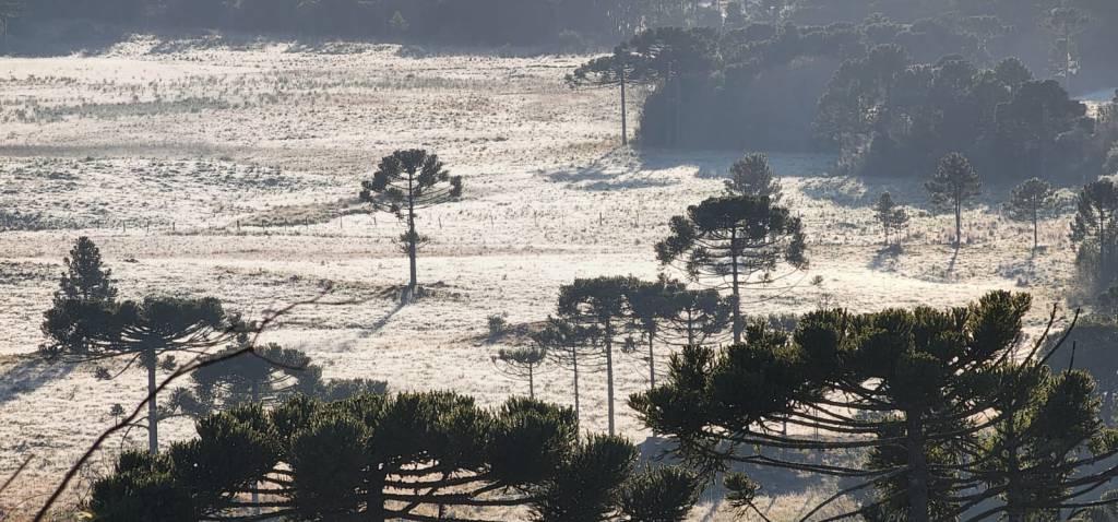 Temperaturas caem no Sul do país nesta sexta