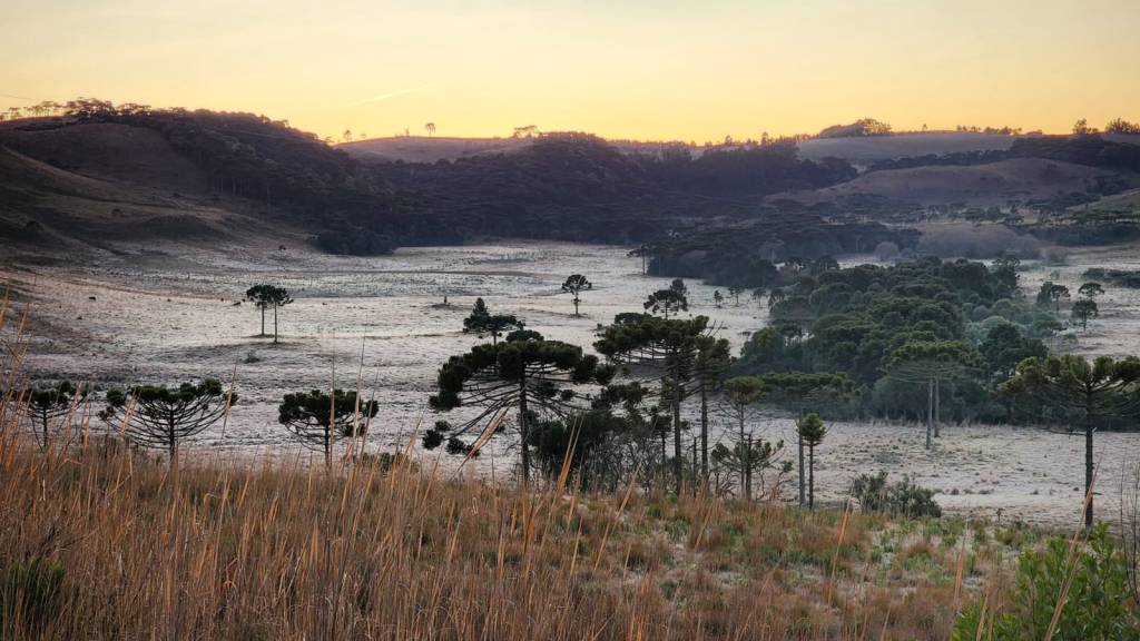 Semana começa com possibilidade de geada em SC e RS. Veja no AgroClima 