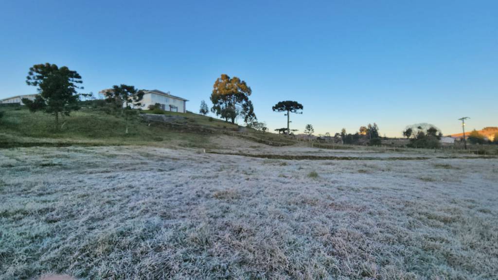 Quedas nas temperaturas podem causar geadas no Sul. Veja a previsão com Diulian Marques