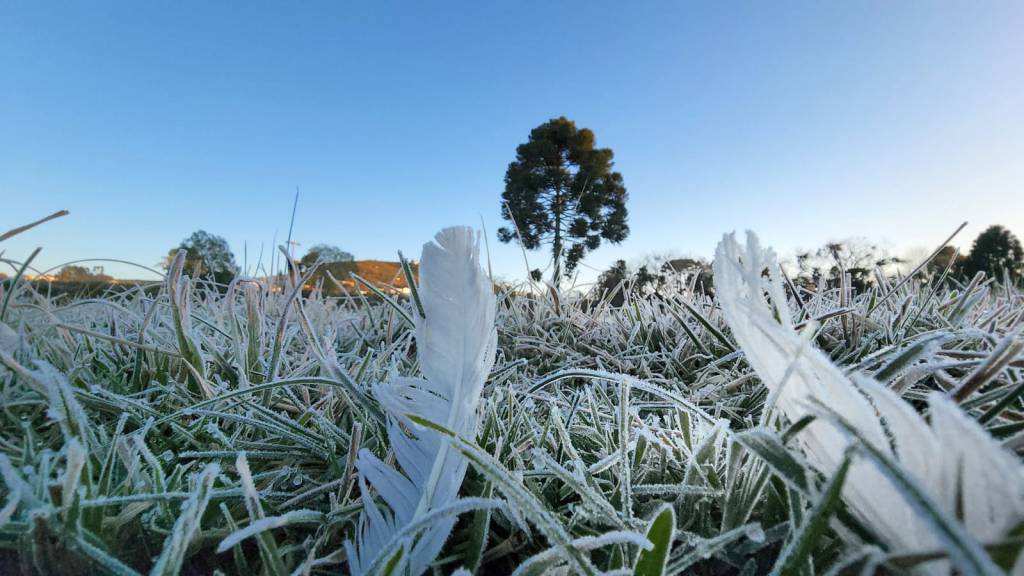 Sábado tem possibilidade de geada no Sul do país. Confira no AgroClima