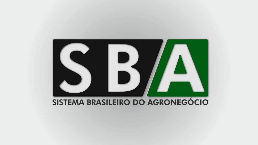 Após invasão, novos canais do SBA no YouTube são criados