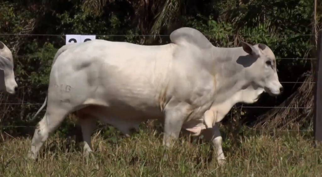 Hoje: '2° De Olho Na Fazenda Agropecuária Ribeirópolis - Touros'