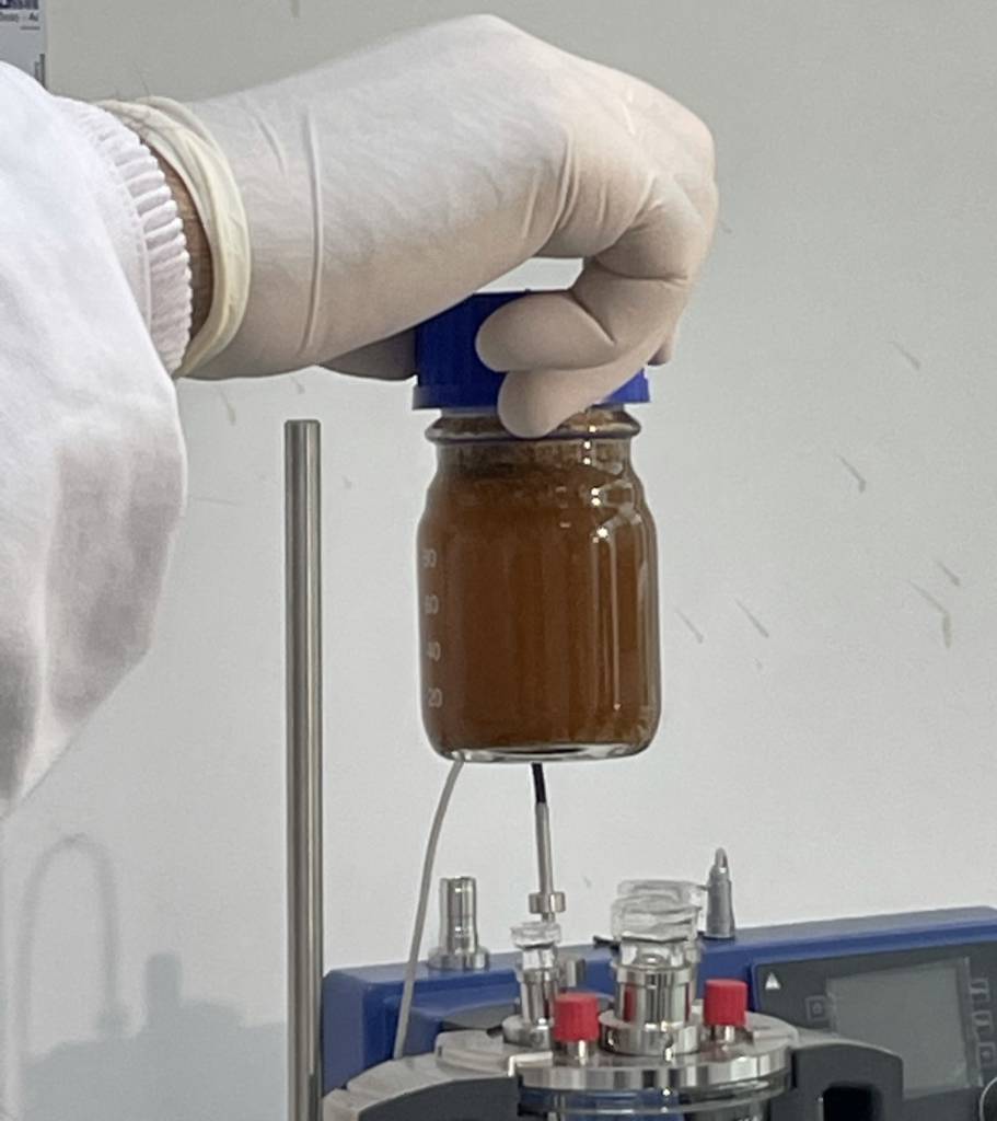 Nanocelulose da palha da cana-de-açúcar é tema de workshop em SP