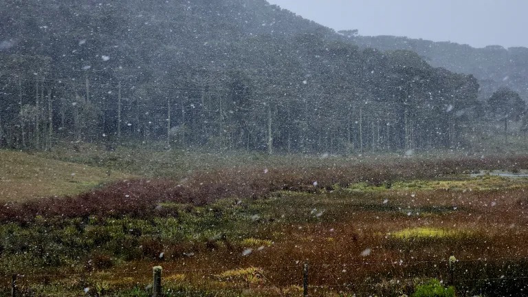 Chove e frio aumenta, hoje, em grande parte do país. Veja no AgroClima