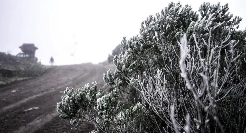 Primeira neve do ano em SC é registrada em Urupema