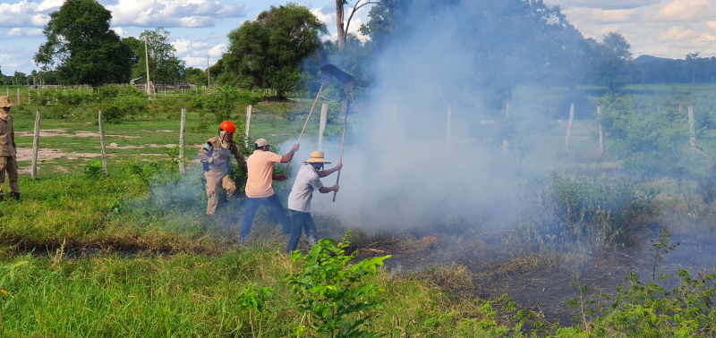 Fórum discute sobre conservação e desenvolvimento do Pantanal