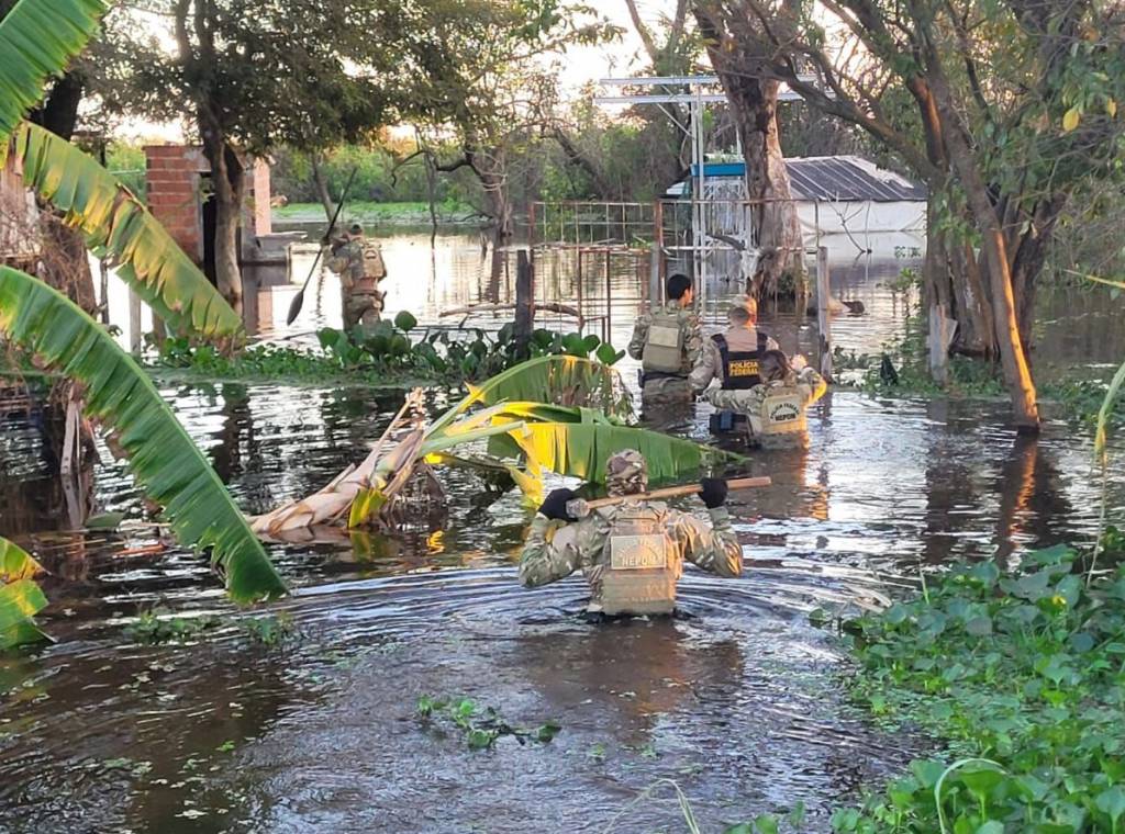 Operação combate caça ilegal de onça-pintada no Pantanal 