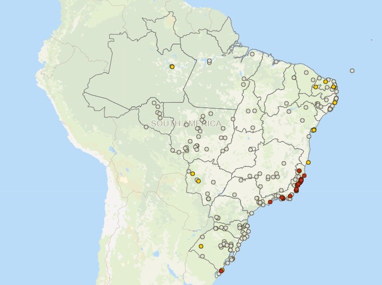 Mapa disponibiliza painel dos focos de Influenza em aves silvestres