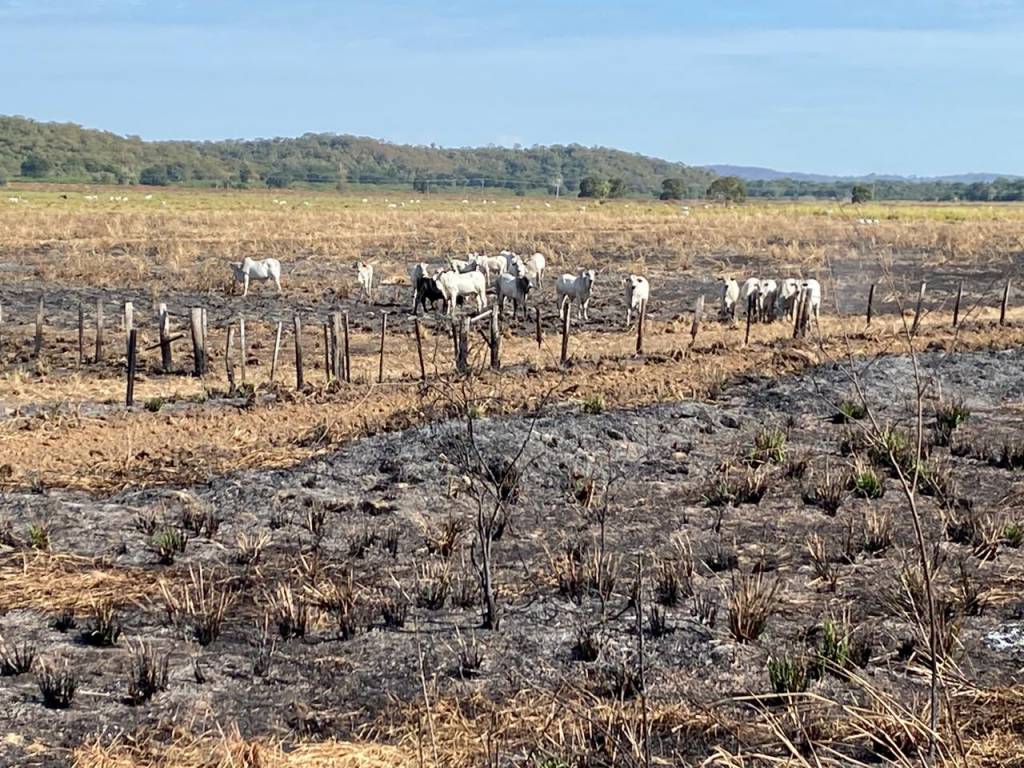Sábado será de tempo firme em boa parte do país. Veja no AgroClima 