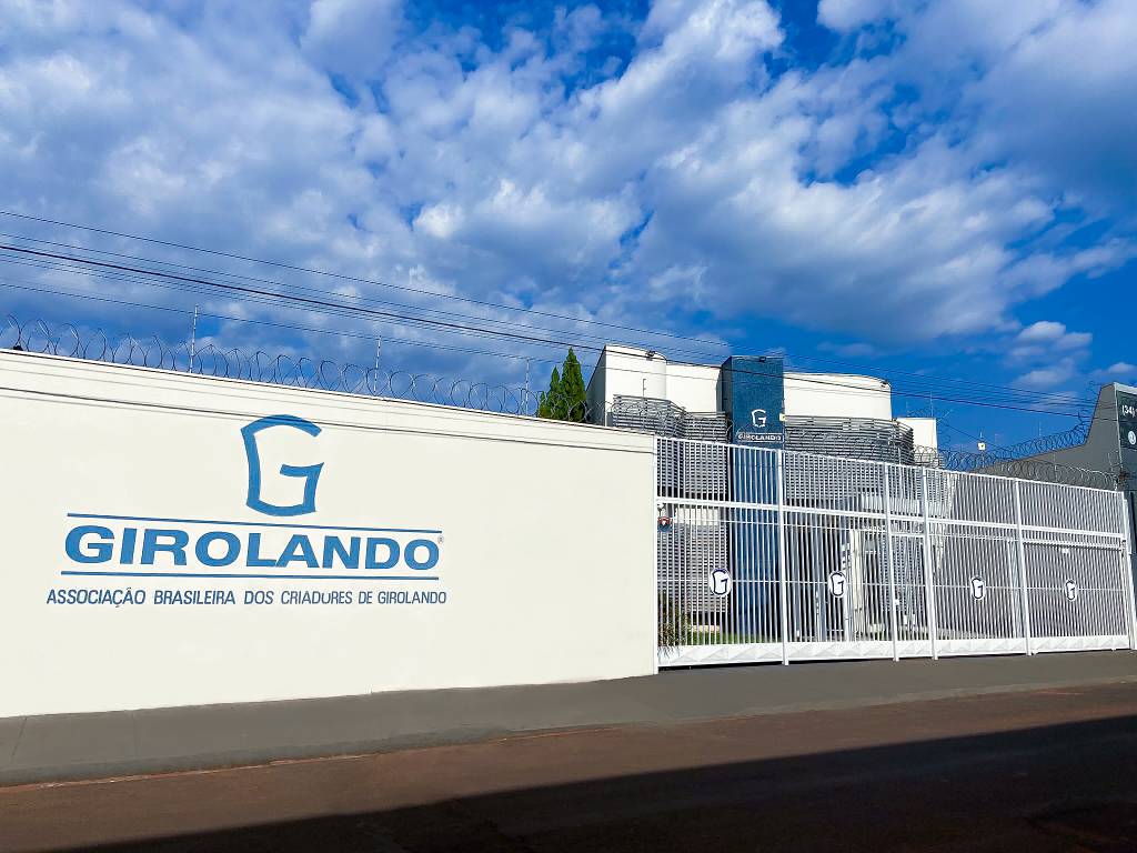 Associação de Girolando elege nova diretoria nesta quinta