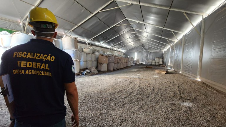 Comercialização de sementes é suspensa em Mato Grosso do Sul 