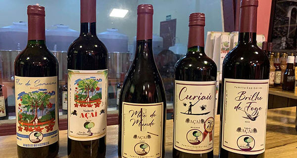 Bebida fermentada a partir do açaí tem propriedades similares ao vinho tinto