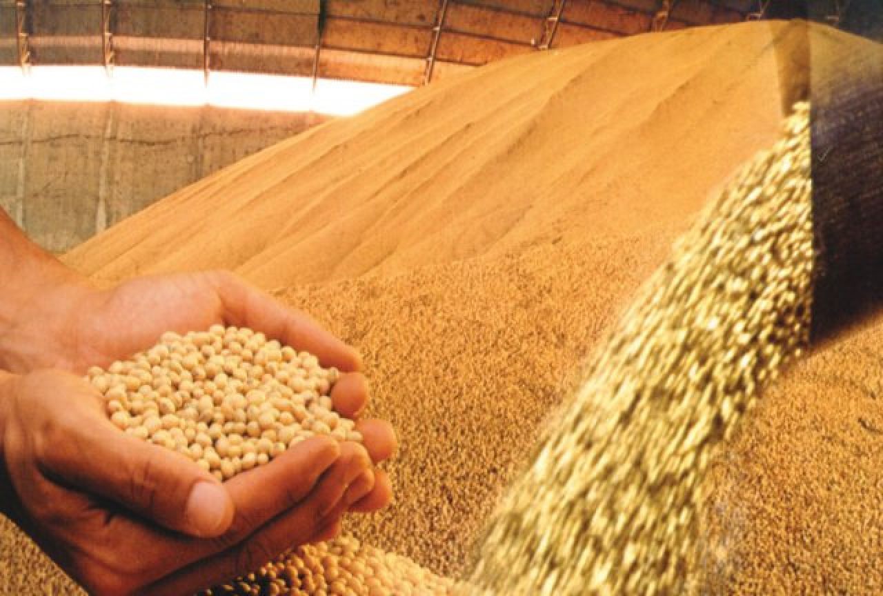 Exportação de soja da Argentina é estimada em apenas 3,1 mi/ton
