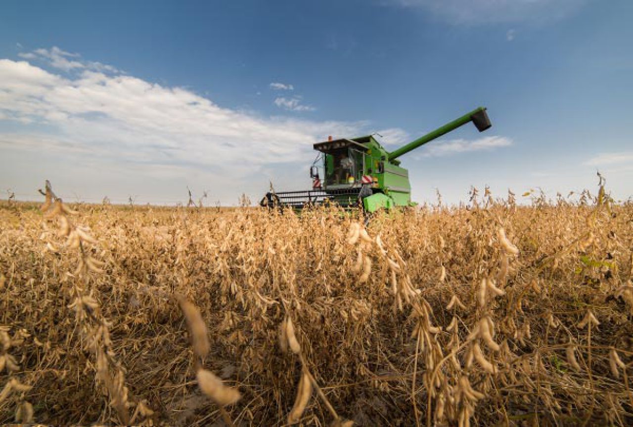 Ferramenta deixa produtor atualizado sobre safras futuras