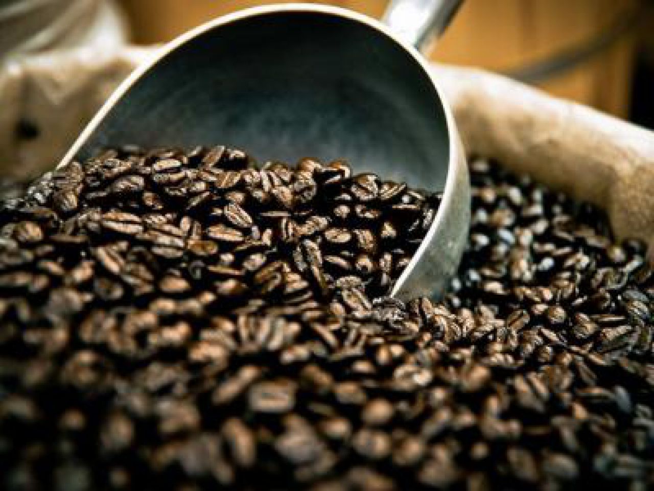 Indicador do café arábica tipo 6 bebida dura para melhor