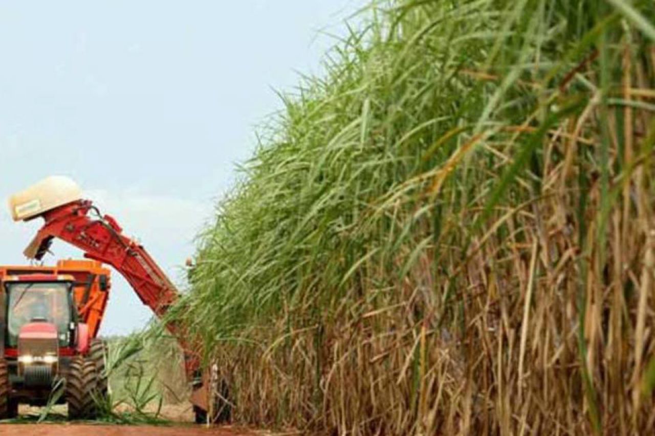 Unica estima produção de até 29 bilhões de litros de etanol