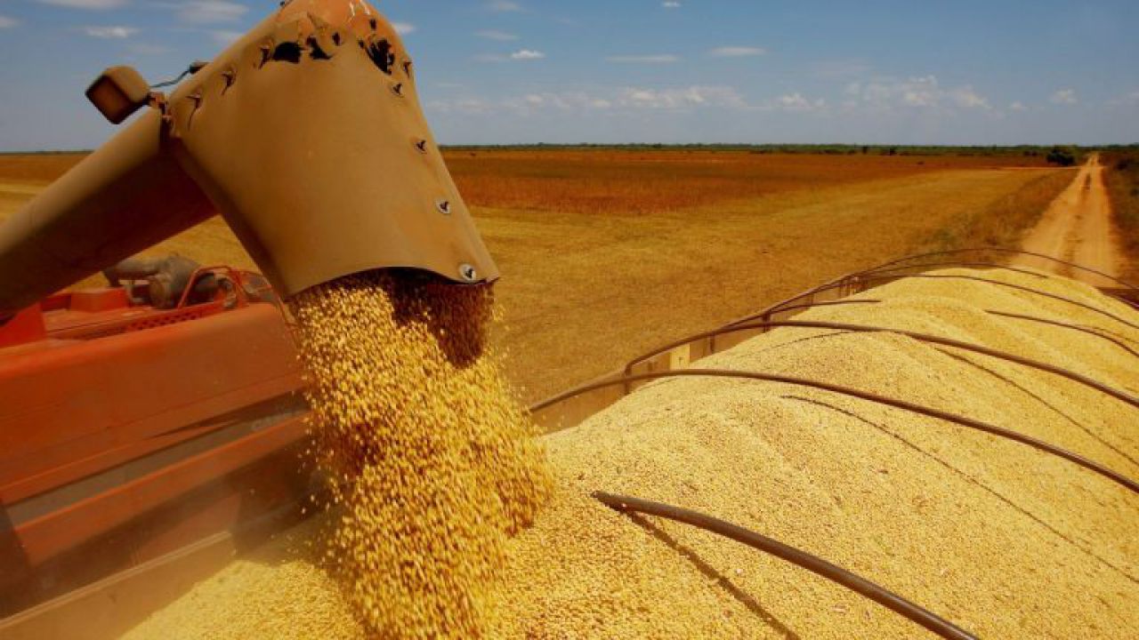 Embarques de soja do Brasil podem chegar a 75 mi/ton na 2019/20