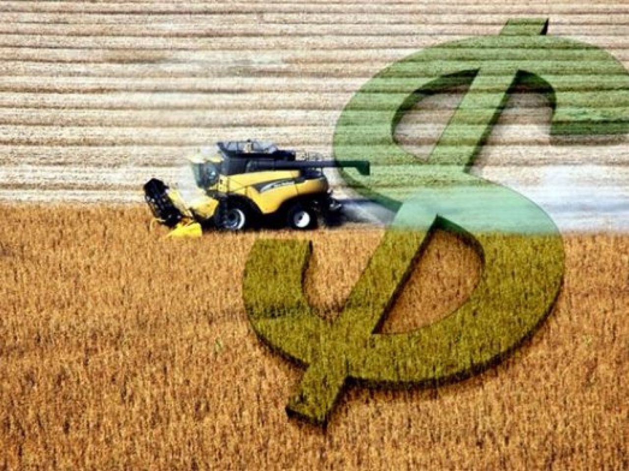Expansão de áreas de cultivo no mundo podem chegar a 69 mi/ha até 2050