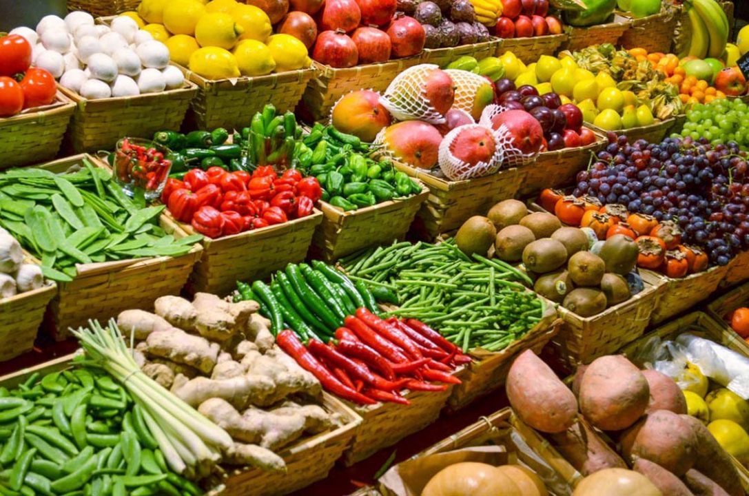 Lácteos puxam aumento dos preços globais dos alimentos em fevereio, diz FAO
