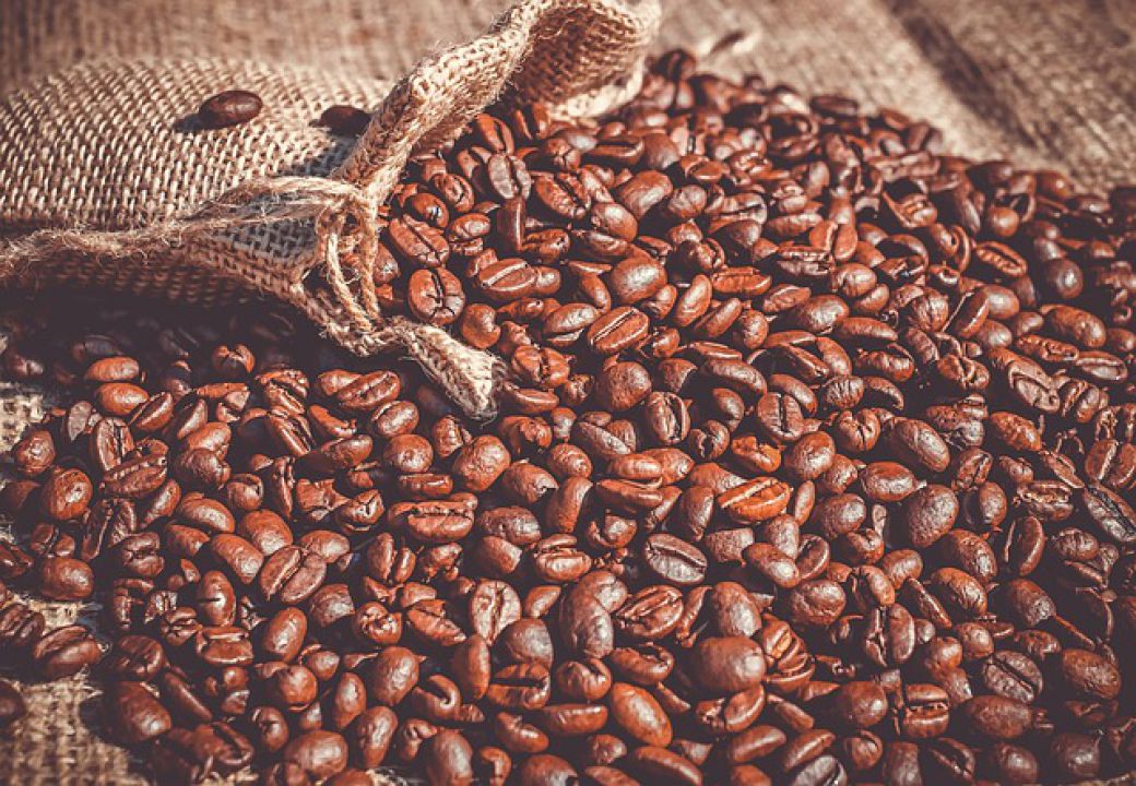 Exportações brasileiras de café cresceram 36% em fevereiro