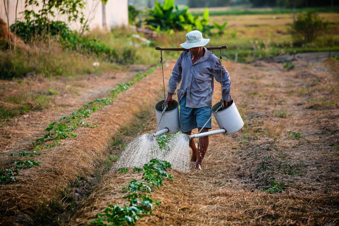 Trabalhadores rurais poderão solicitar aposentadoria diretamente no INSS
