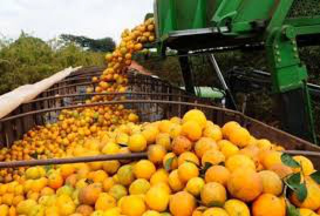 Missão à Ásia acelera discussões em relação a suco de laranja