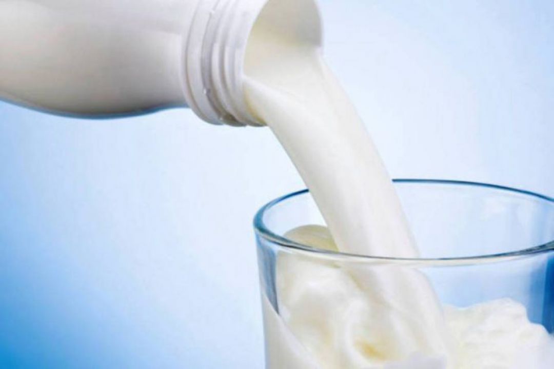 Francesa Lactalis investirá 37 milhões de reais em Minas Gerais