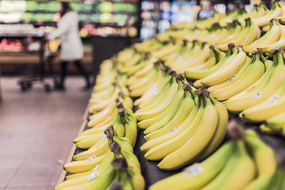 Ação de prevenção é realizada para impedir entrada de praga que prejudica produção de banana