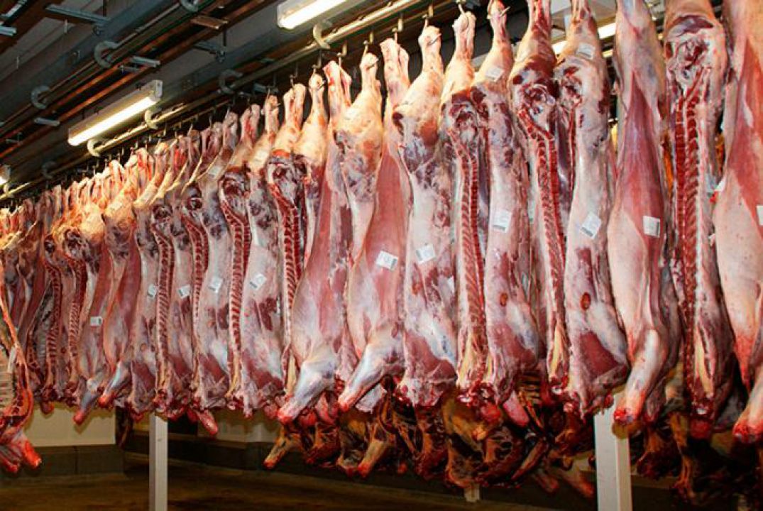 Mercado do boi gordo começa a reverter pressão negativa de preços