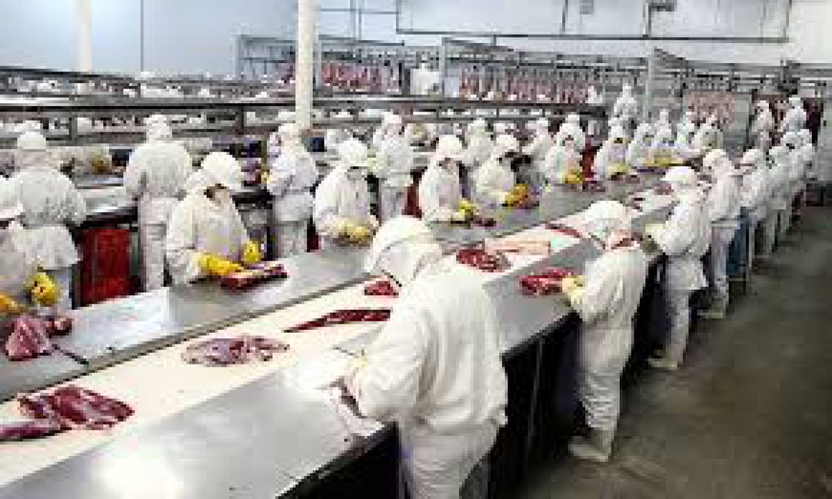 Brasil produziu 6,3 milhões de toneladas de carne no primeiro trimestre