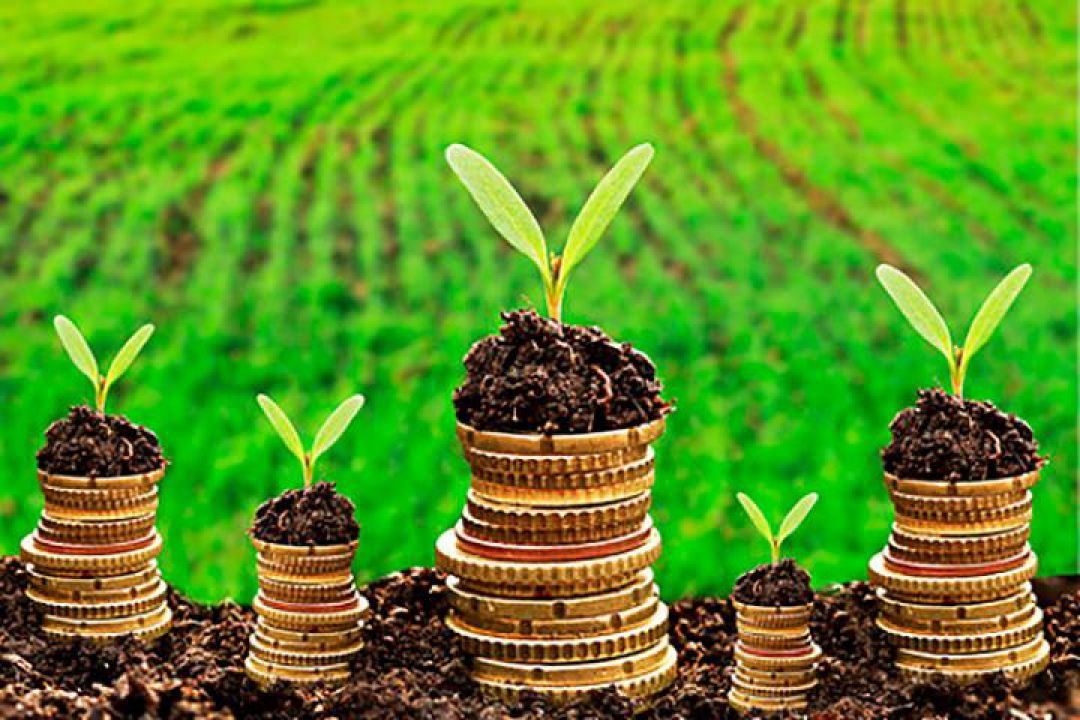 Atualização do Guia de Seguros Rurais traz novidades sobre produtos e modalidades de seguro