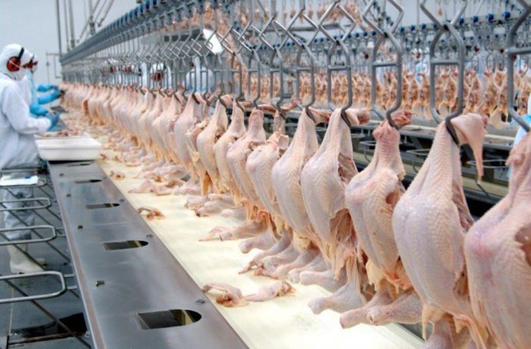 Valorização das concorrentes eleva competitividade da carne de frango 