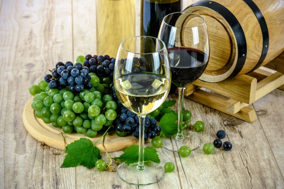 Mapa participa do Congresso Mundial da Vinha e do Vinho
