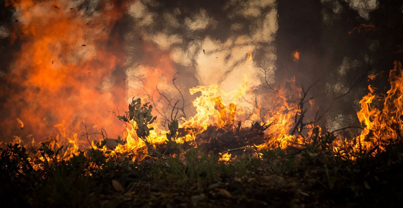 Decreto suspende permissão de queima controlada em todo território nacional