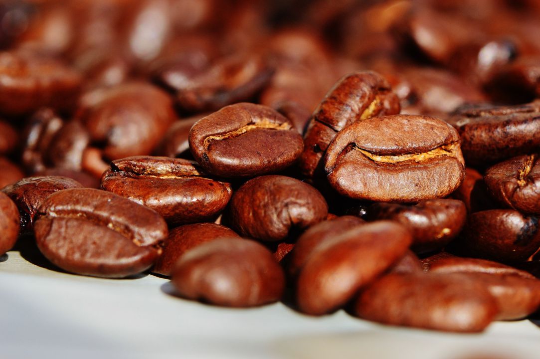 Valores do café robusta são elevados