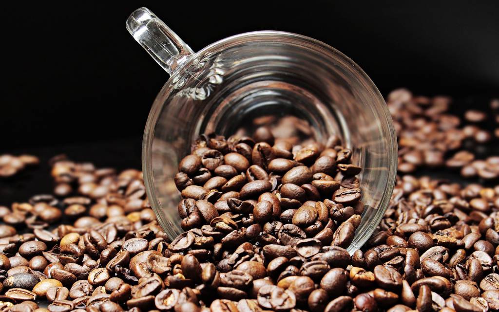 Boa florada de café em Rondônia faz produtores ficarem atentos ao clima