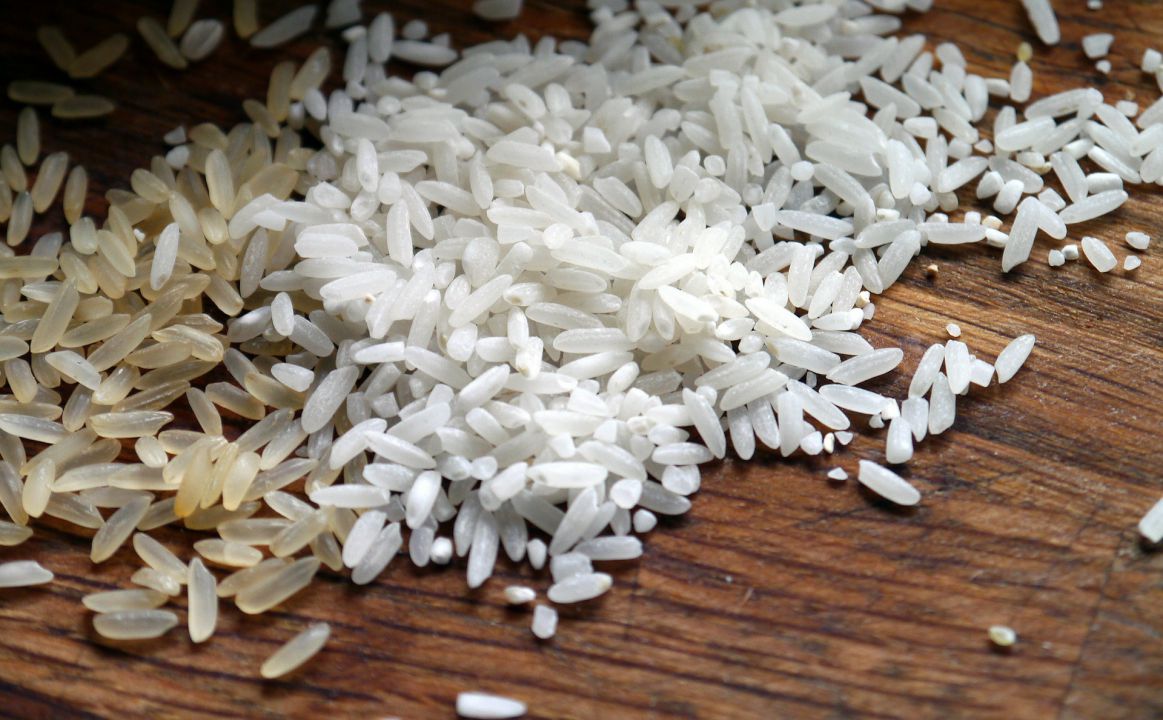 Safra de arroz tem início com preços menores que 2018