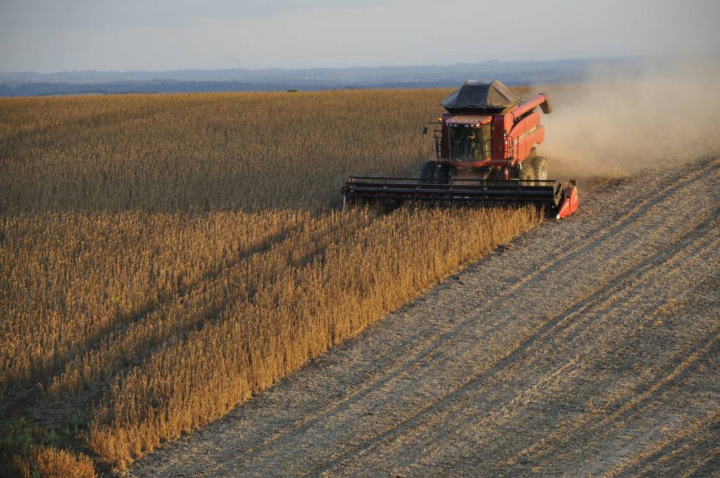 Valor da Produção Agropecuária de 2019 sobe para R$ 606,2 bilhões