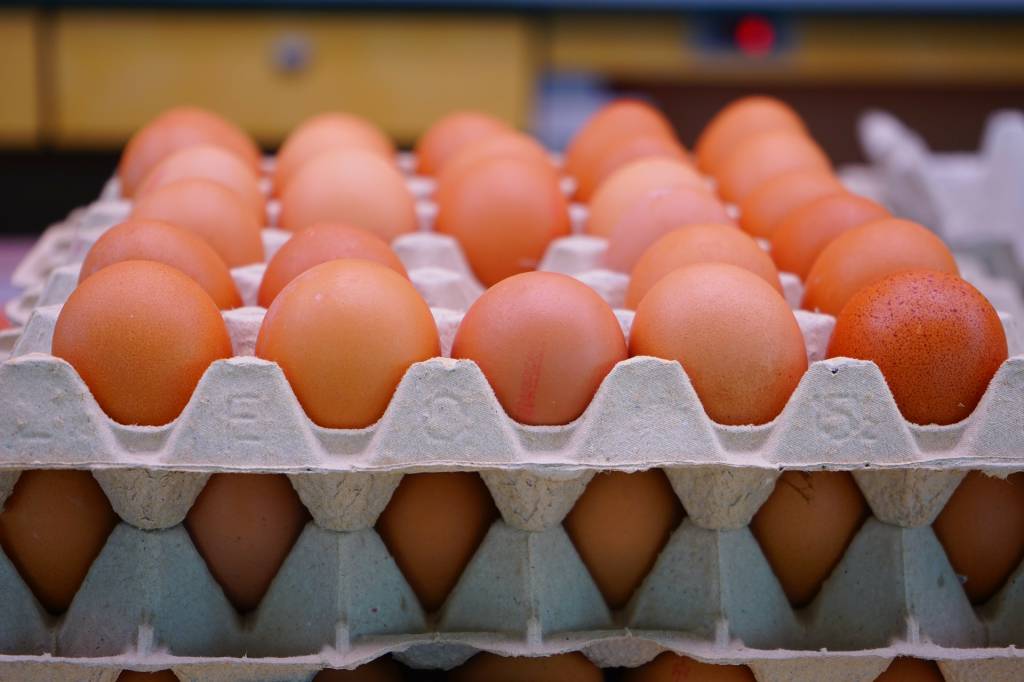 Produção brasileira de ovos registra aumento de 53% em menos de uma década