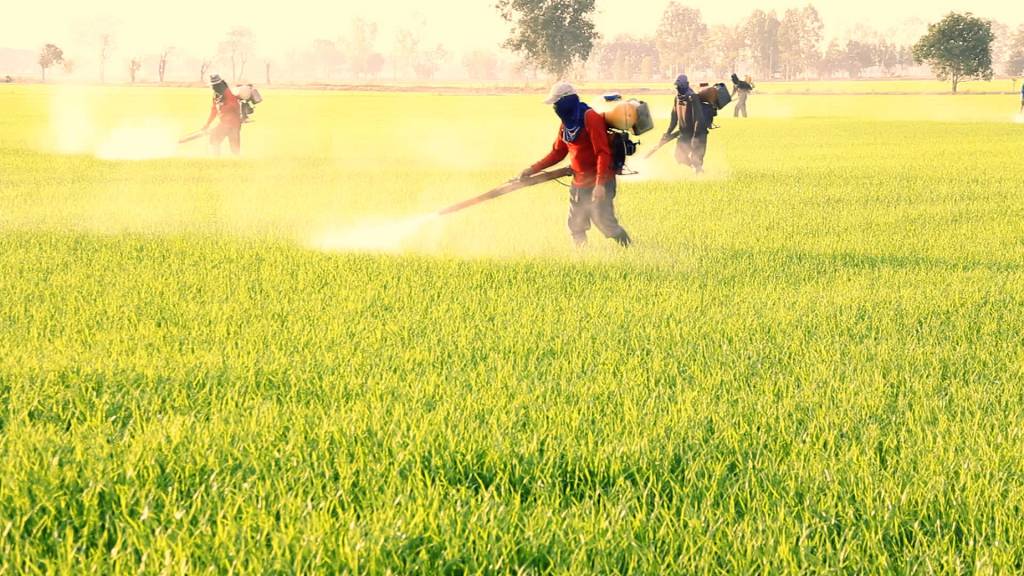 Greve de fiscais agropecuários do RS é suspensa