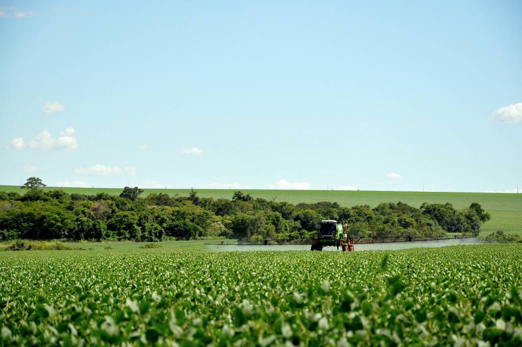 IBGE estima que arroz e soja podem ter produção reduzida