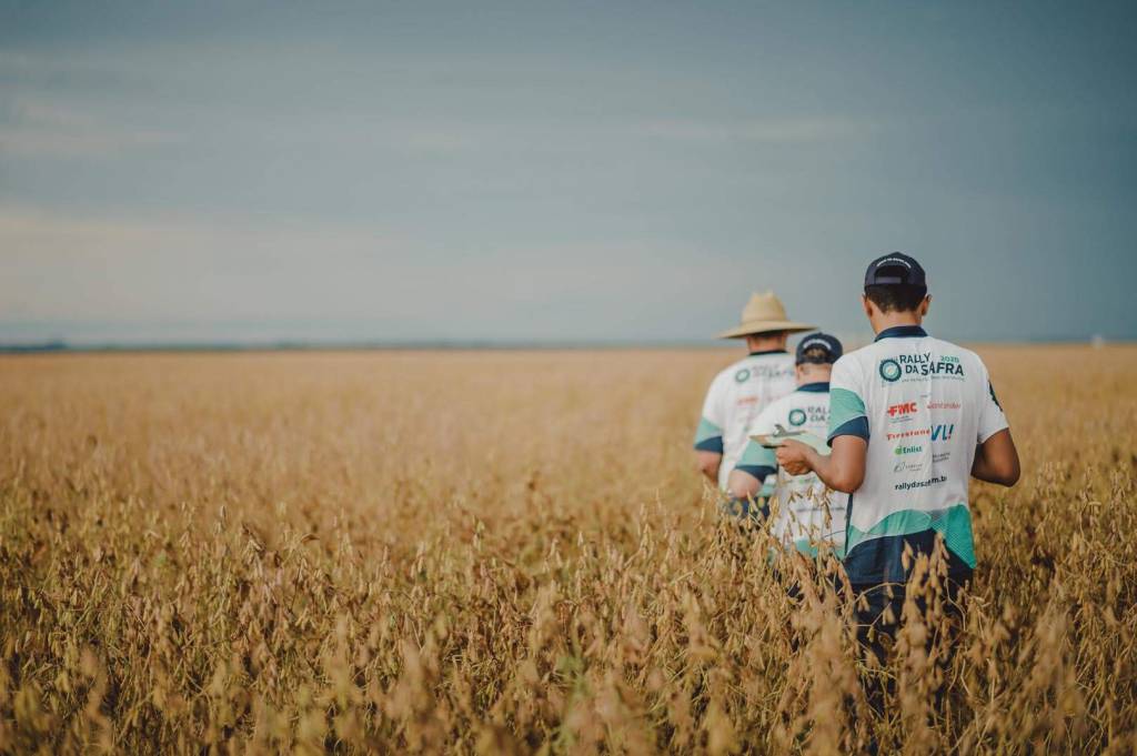Rally da safra: estimativa para soja aumenta em 2 mi/ton