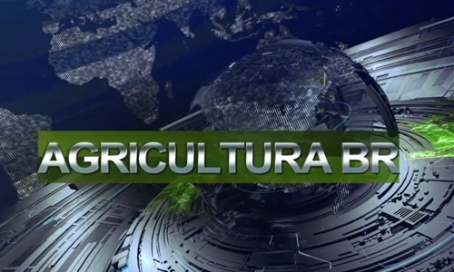 Confira Agricultura de ontem, terça-feira (04)