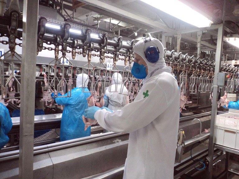 Serviço de Inspeção Federal garante a manutenção do abastecimento de produtos de origem animal