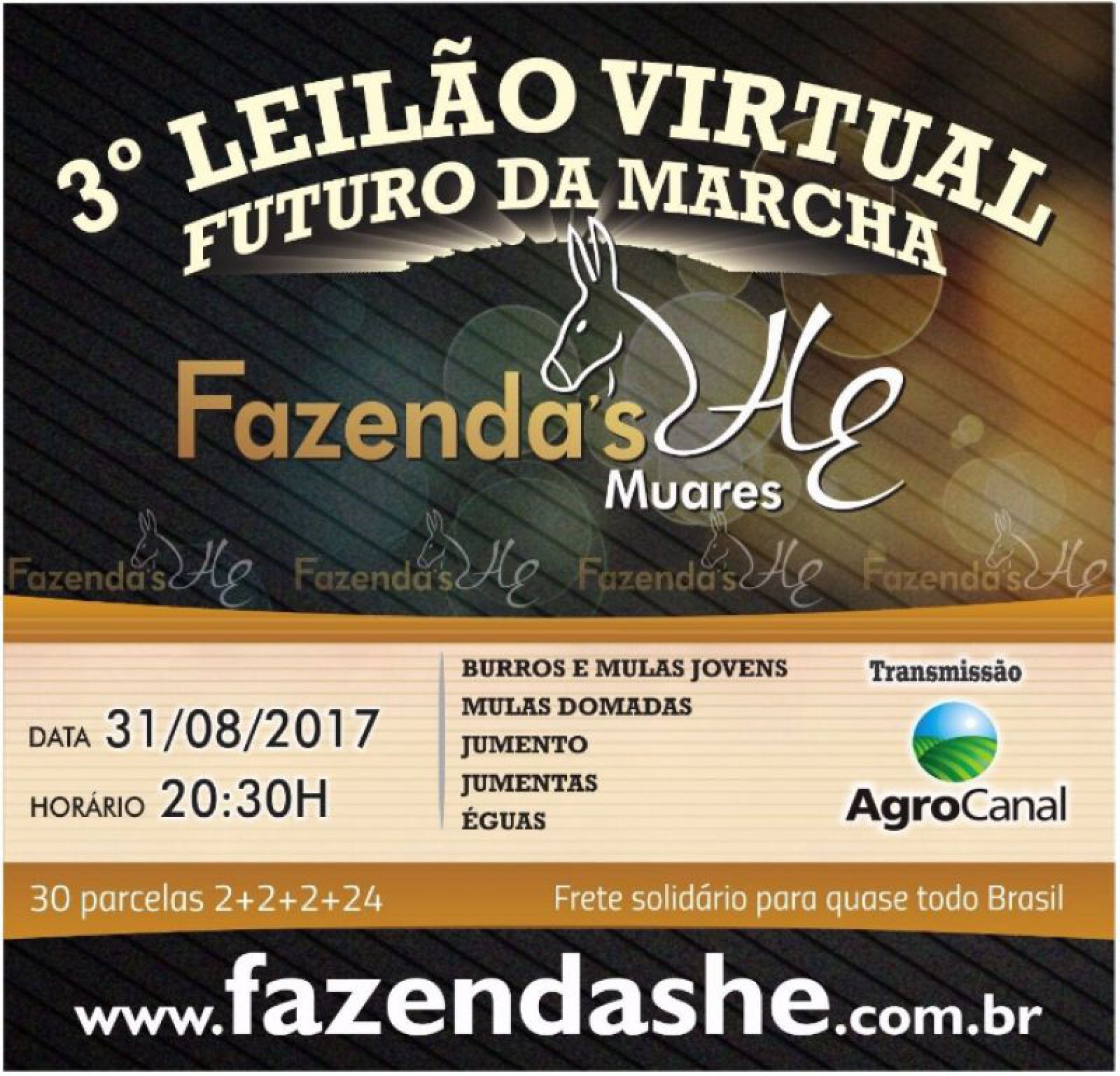 3° Leilão Futuro da Marcha quinta às 20h30 no Agro Canal