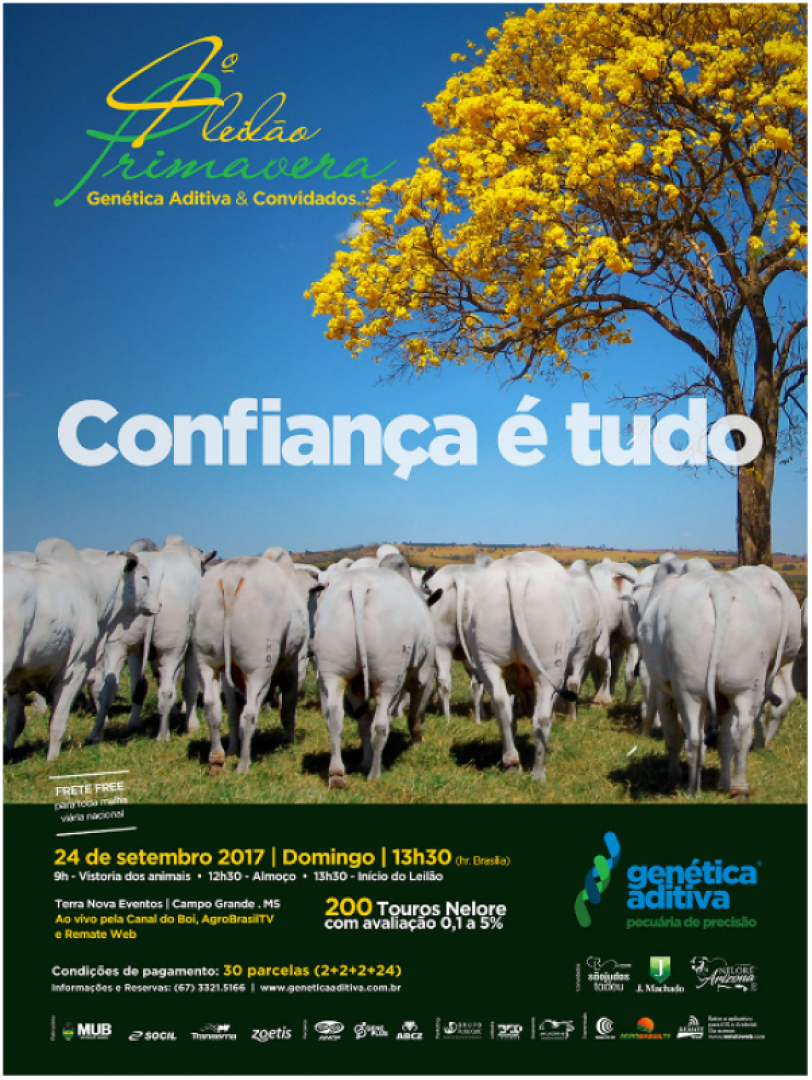 4° Leilão Primavera Genética Aditiva será transmitido no Canal do Boi