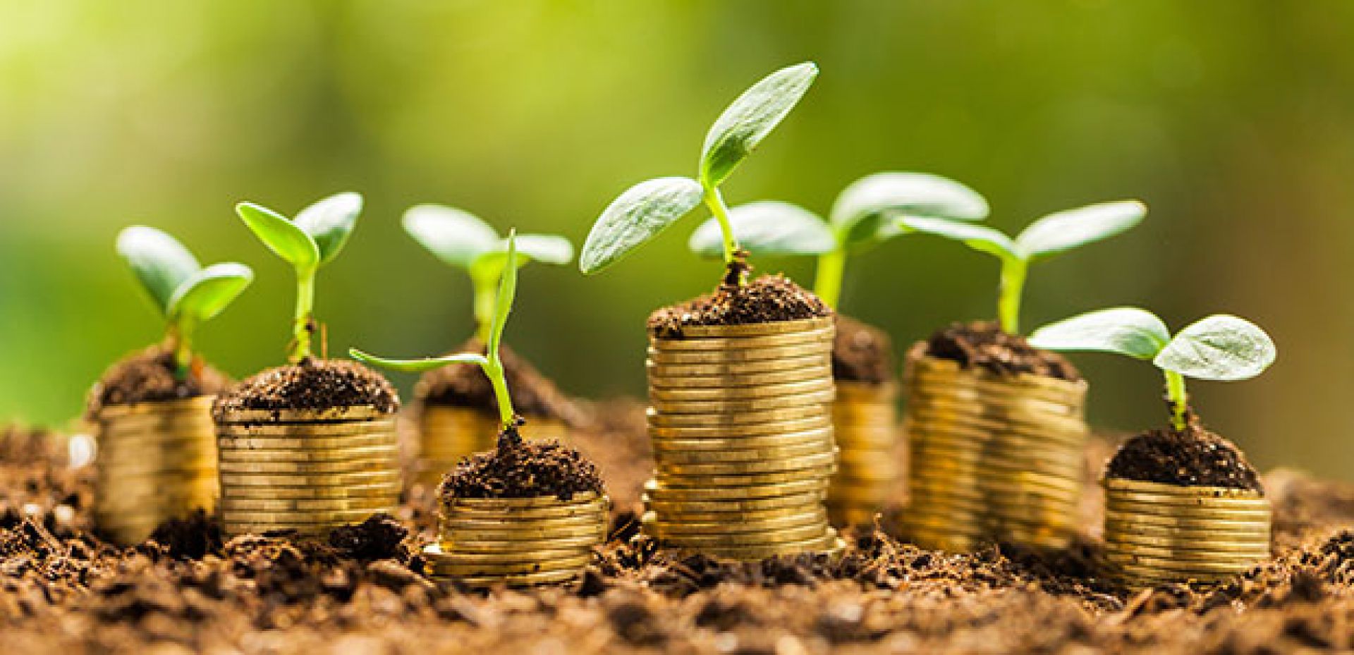 Centro-Oeste terá menor contração da economia neste ano devido ao agronegócio, diz Banco Central